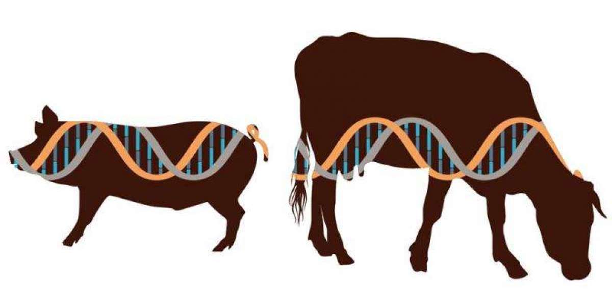 Animal Genetics Market Trends Overview by Share, Growth and Competitors