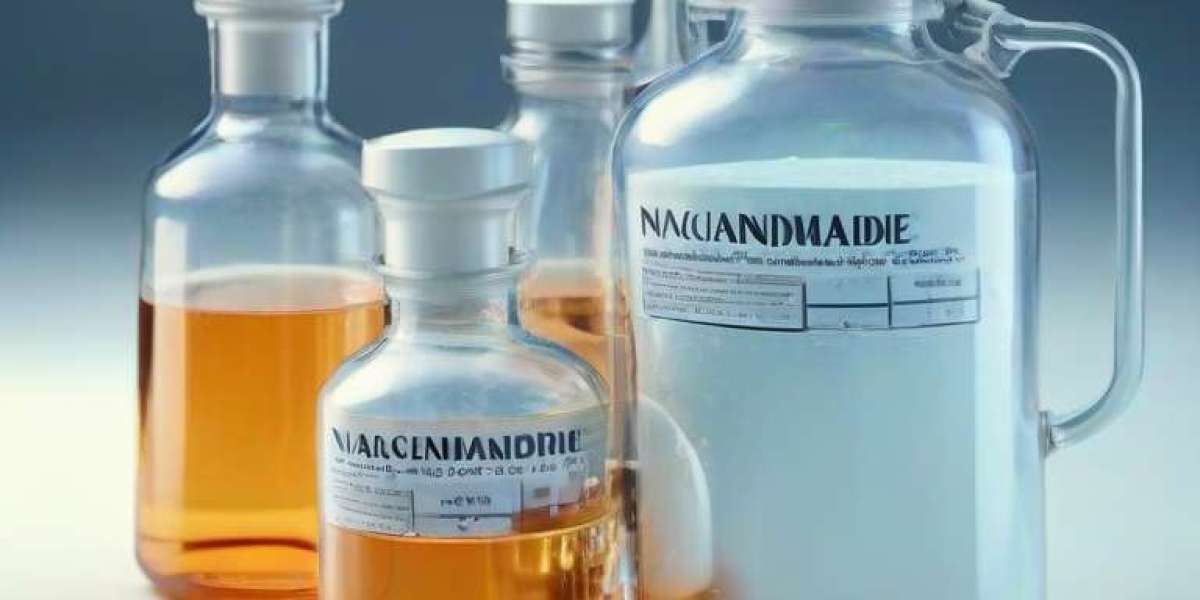 Niacinamide Manufacturing Project Cost 2024: Manufacturing Process, Plant Setup and Industry Trends