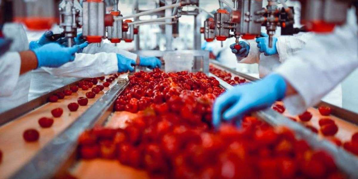 Forecasting Prosperity: A 2030 Vision for Fruit and Vegetable Processing