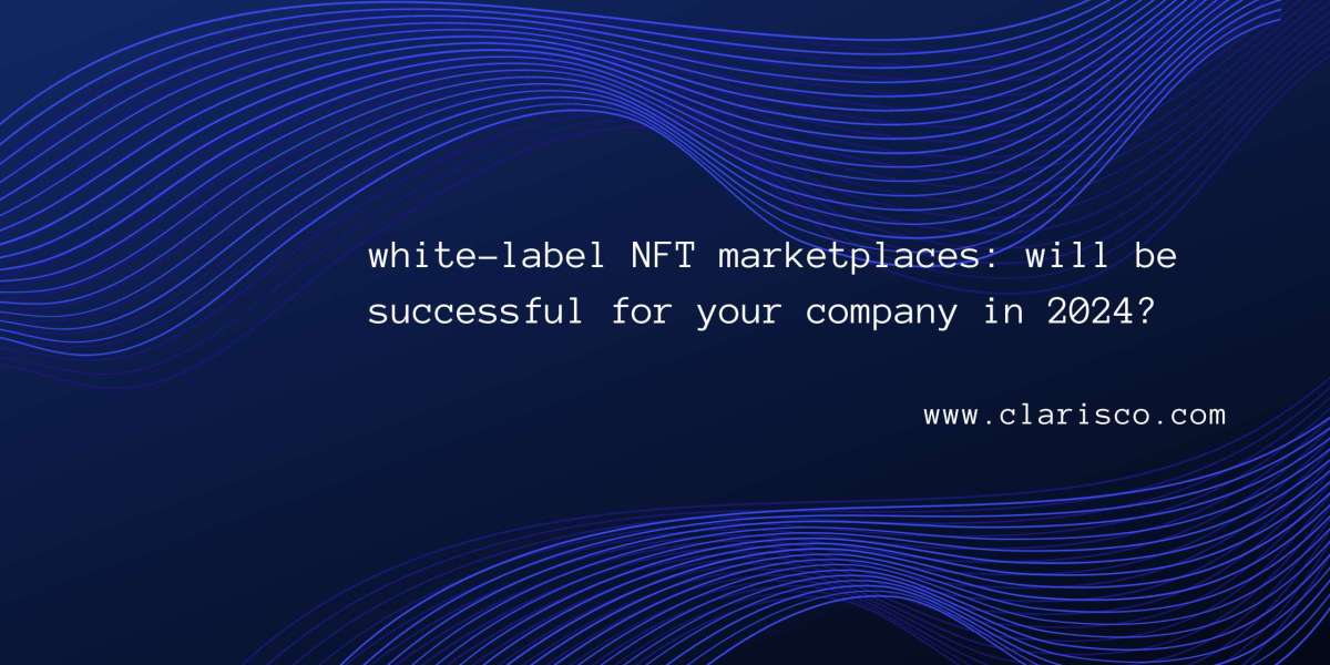 white-label NFT marketplaces: will be successful for your company in 2024?