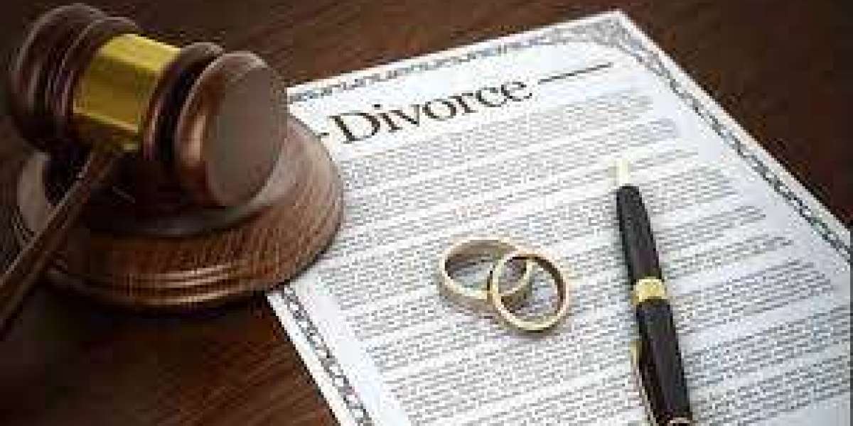 "Facilitating Resolutions: The Impact of Divorce Mediators"
