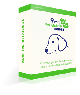 Best Pet Care Guides | Essential Pet Guides