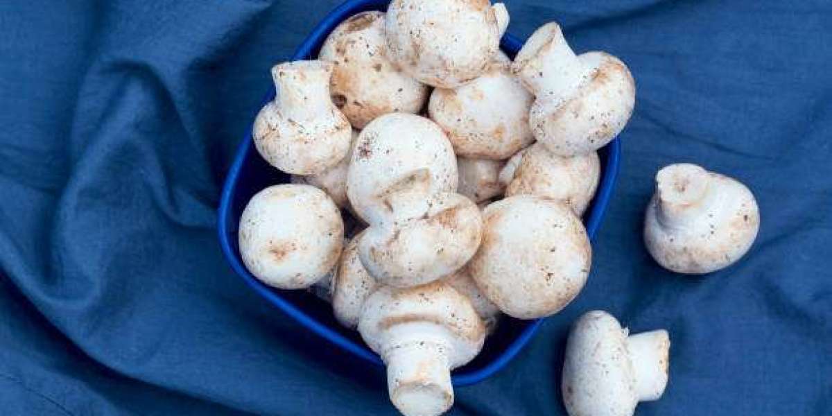 Edible Mushroom Market Insights: Regional Growth, and Competitor Analysis | Forecast 2030