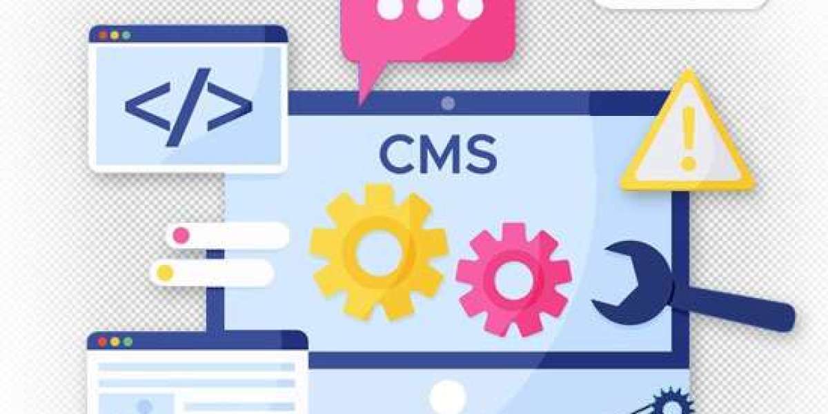 Custom CMS Development - Why Does Your Website Need a Custom CMS?
