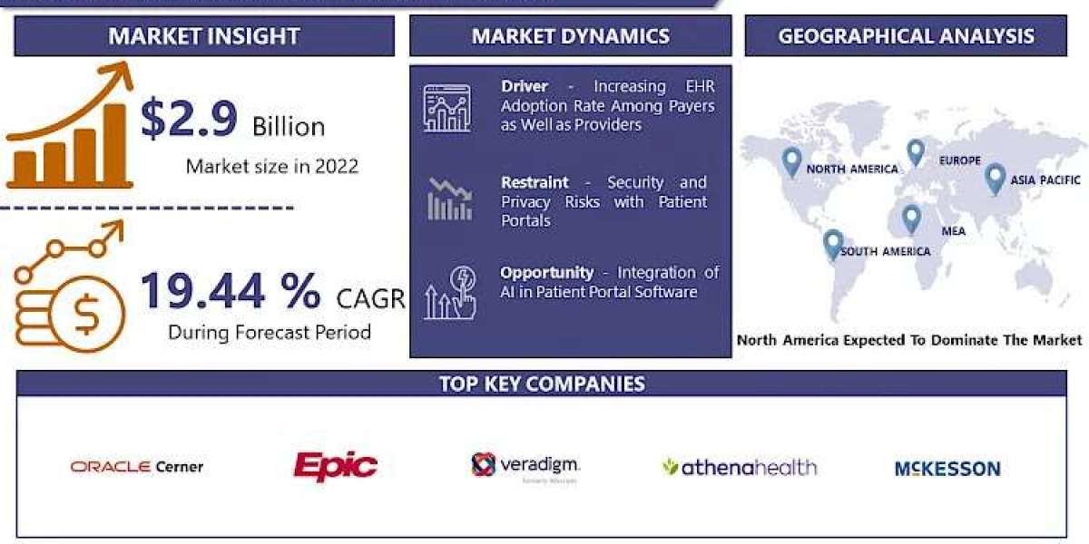 Patient Portal Market Anticipating the Future: Market Forecast and Size Analysis for 2030
