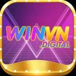 winvn digitalvv