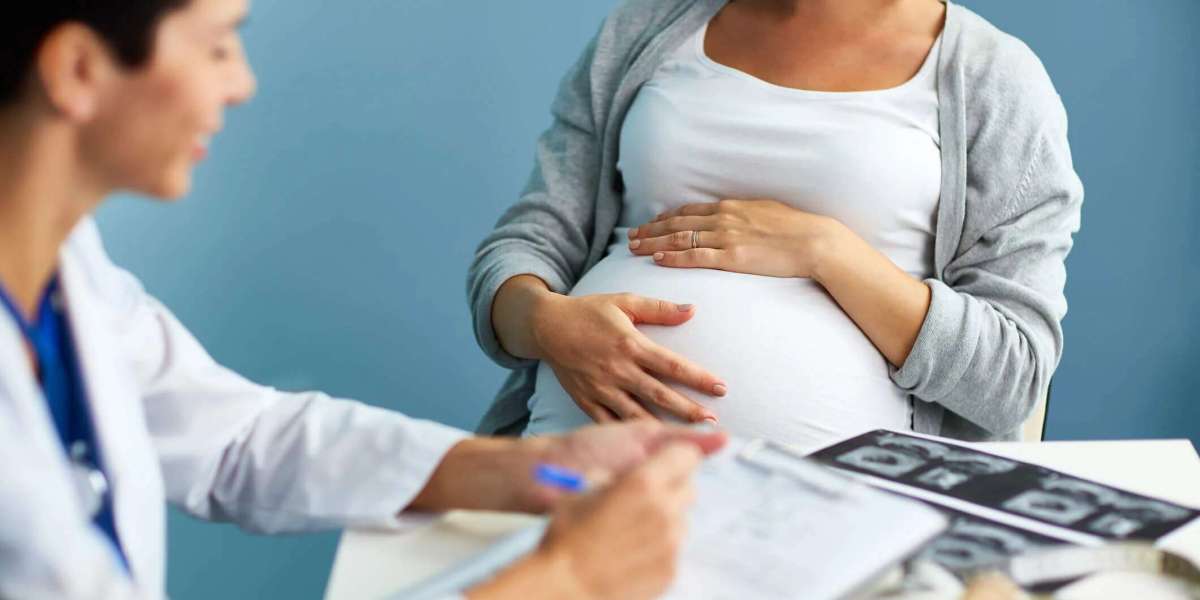 Global Surrogacy Market Size, Share Analysis, Trends, Industry Forecast 2024-2032