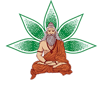 Best Yoga School in Goa | Yoga Training in Goa 2023-24 | India Yoga School