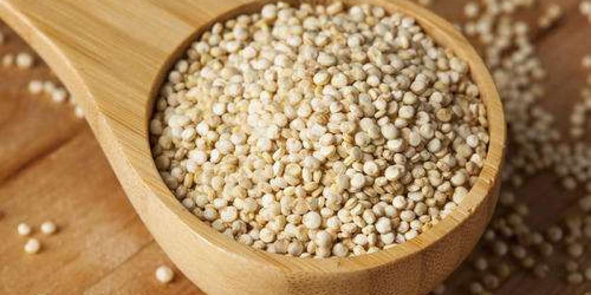 Organic Quinoa Seeds Market Share, Size, Trends, Growth Factors, and Forecast 2023-2028