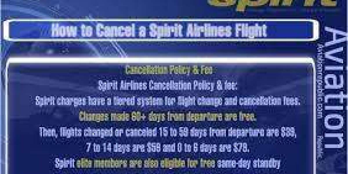 A Brief Introduction To Spirit Airlines Cancellation Policy