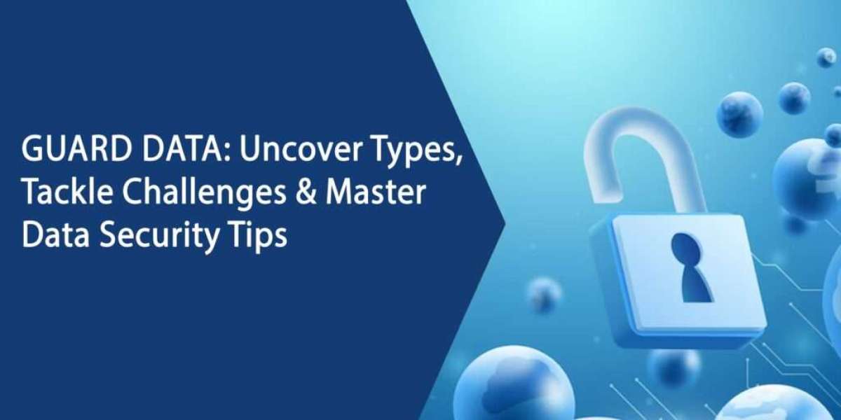 Guard Data: Uncover Types, Tackle Challenges & Master Data Security Tips