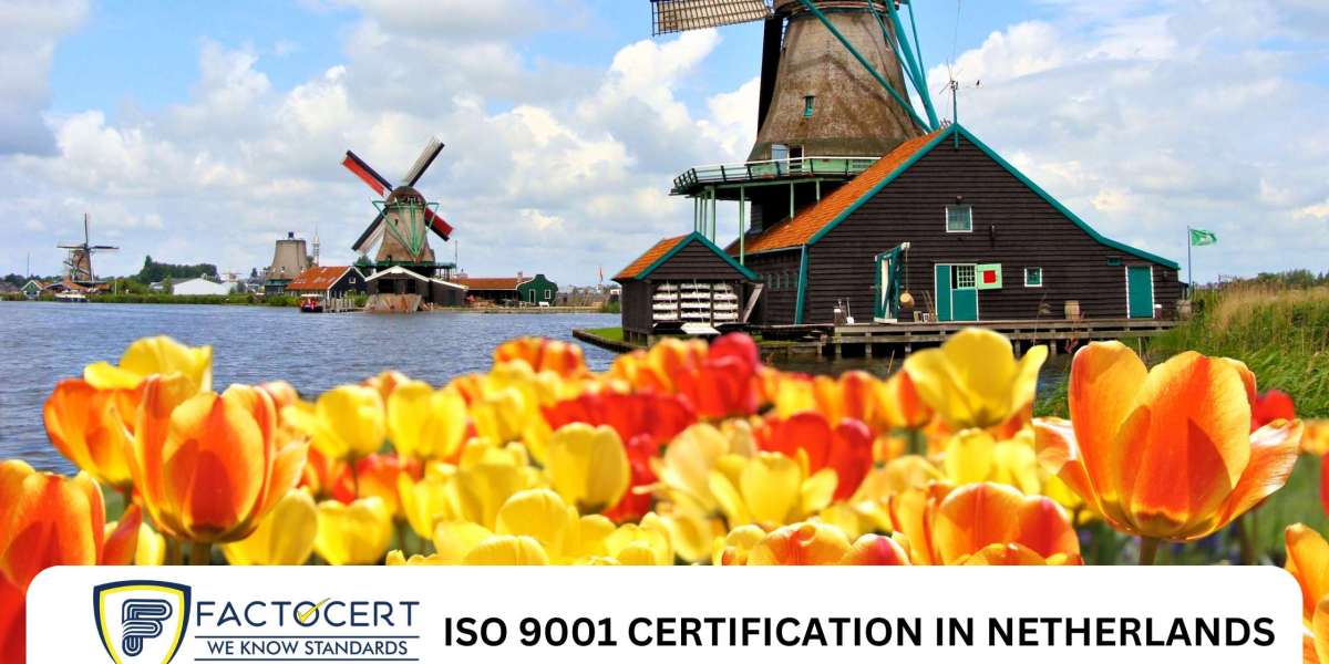 What is the process for obtaining ISO 9001 certification in the Netherlands?
