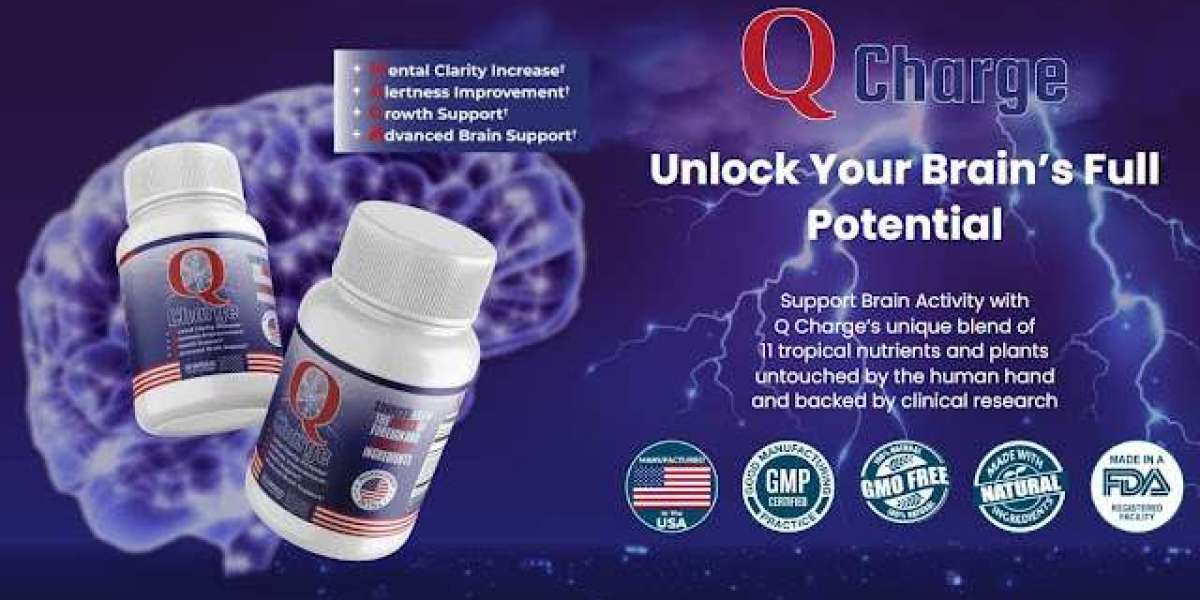 Q Charge Review Support Brain Health, Should You Buy?