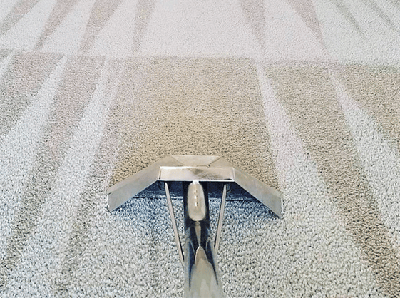 Carpet Cleaning Essex | 20 000+ Positive Reviews