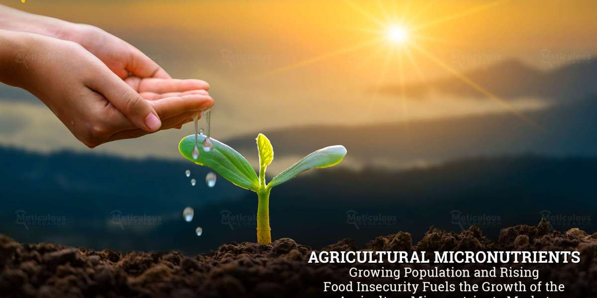 Agricultural Micronutrients Market: Growth, Trend and Opportunity