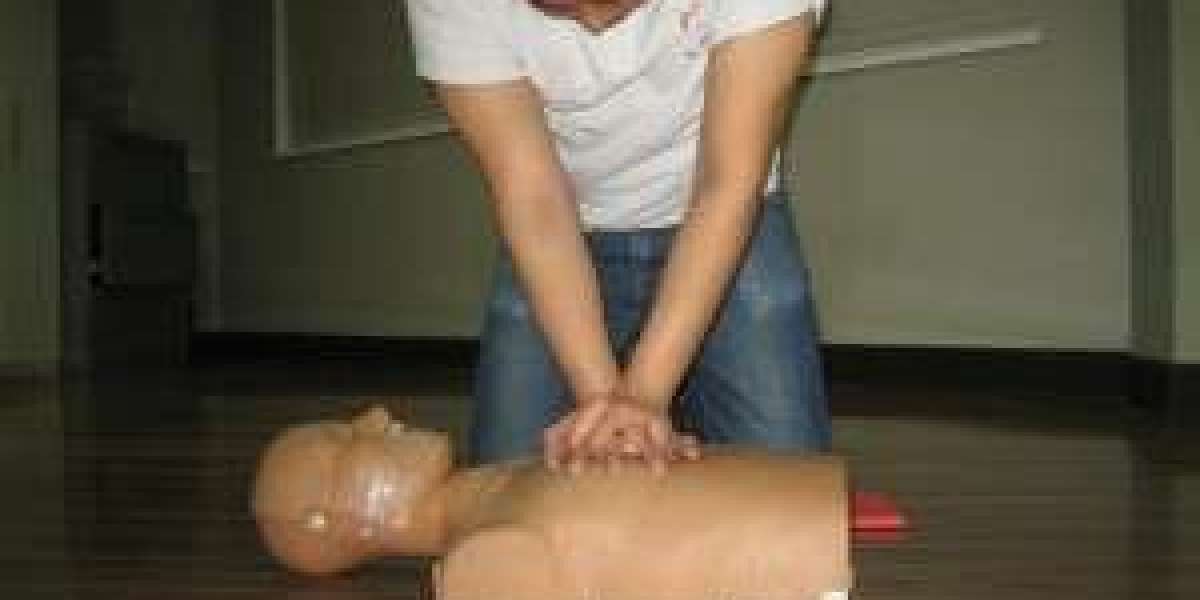 The Best First Aid Courses in Winnipeg: Guardians of Well-Being