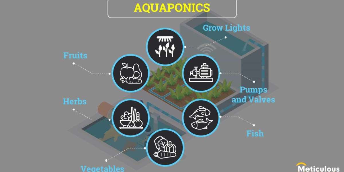 Rising Demand for Organic Fruits and Vegetables to Drive the Growth of the Aquaponics Market