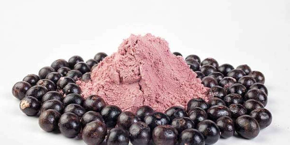 Fruit Powder Market Overview: Analysis of Top Companies by Regional Statistics, Forecast 2030