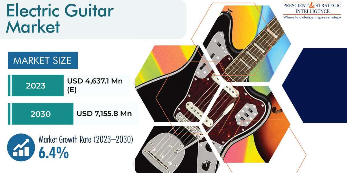 Electric Guitar Market Business Analysis, Growth and Forecast Report