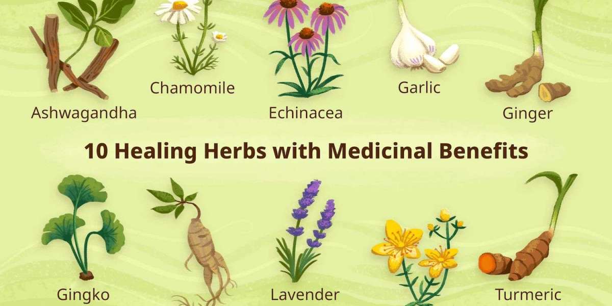 Benefits of natural herbs: Night Fall Treatment in Punjab | Sanjiwani Health Centre