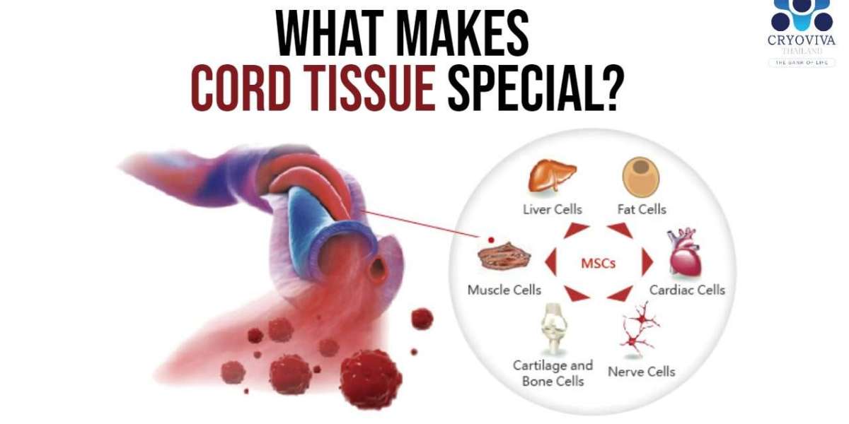 What is Cord Tissue?