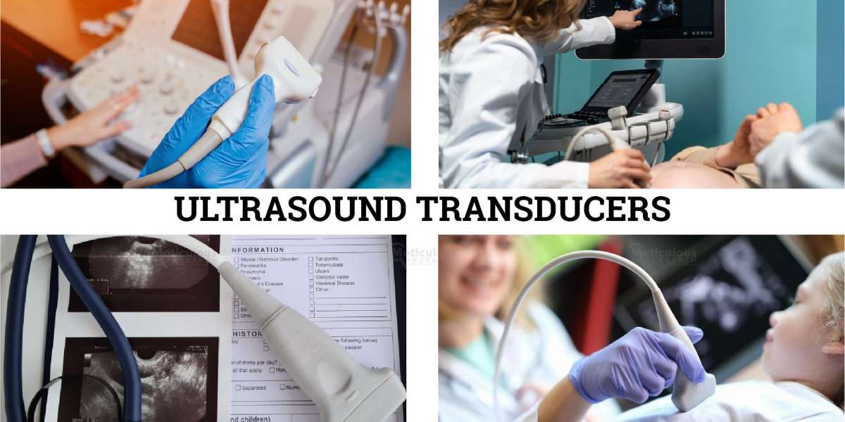 Ultrasound Transducers Unveiled: Market Trends and Insights