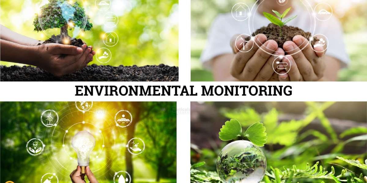 Navigating Environmental Challenges: The Rising Role of Environmental Monitoring