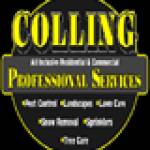 Colling Professional Services Profile Picture