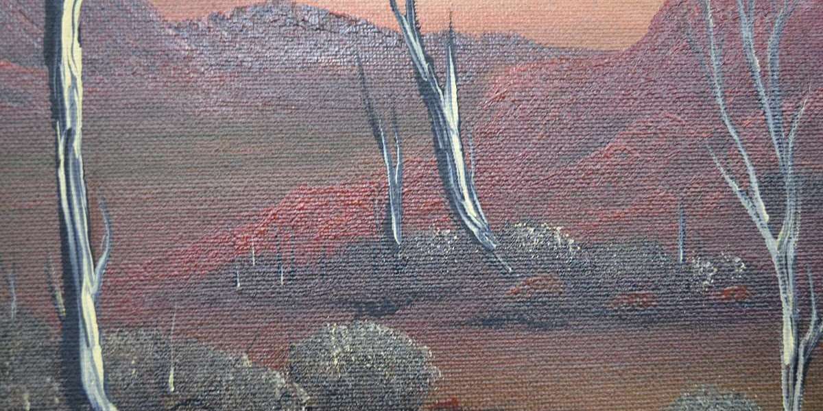 Warrina Designs: Your Gateway to Authentic Australian Aboriginal Art