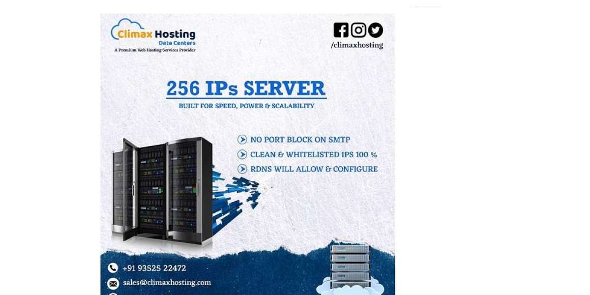 Leveraging the Power of 256 IPs Dedicated Server in USA