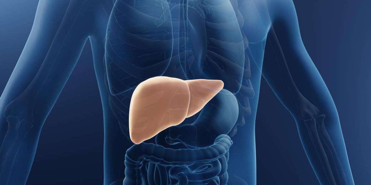 Non-alcoholic Fatty Liver Disease (NAFLD) Market Research | 2023-2033