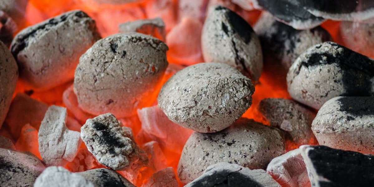 From Forest to Grill The Charcoal Supply Chain