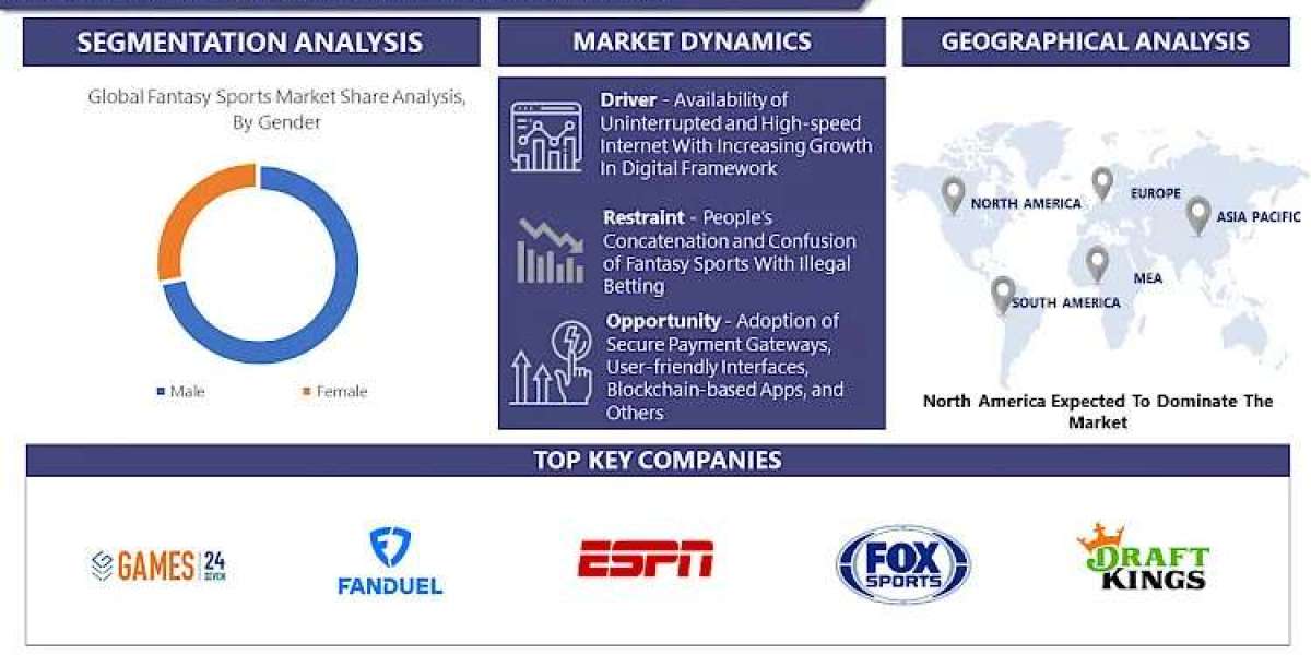 Fantasy Sports Market Charting the Path to 2030: Market Insights and Growth
