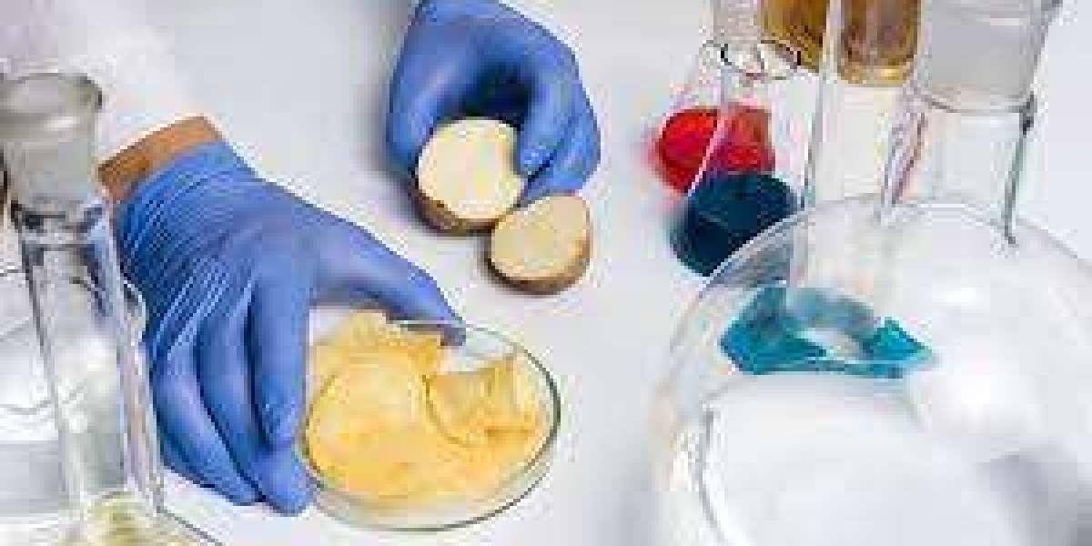 Food Safety Testing Market Outlook, Share, Trends, Growth Factors, and Forecast 2023-2028