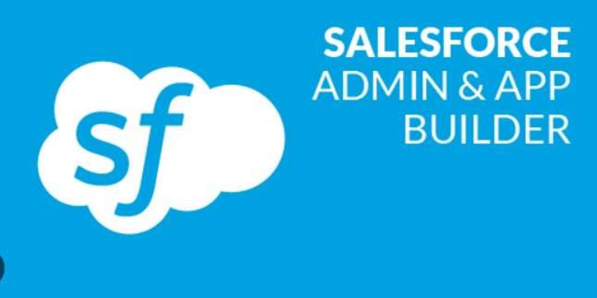 What is Salesforce Campaigns?