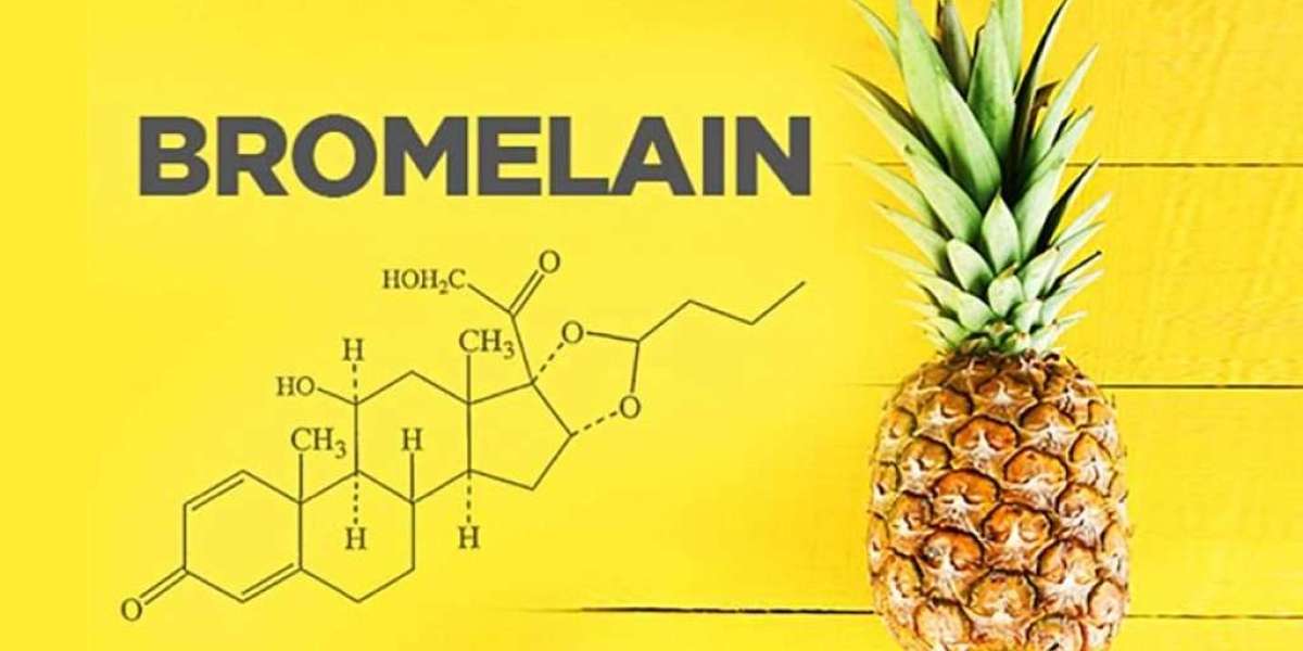 Bromelain Market: Growth and Trends in the Global Enzyme Industry
