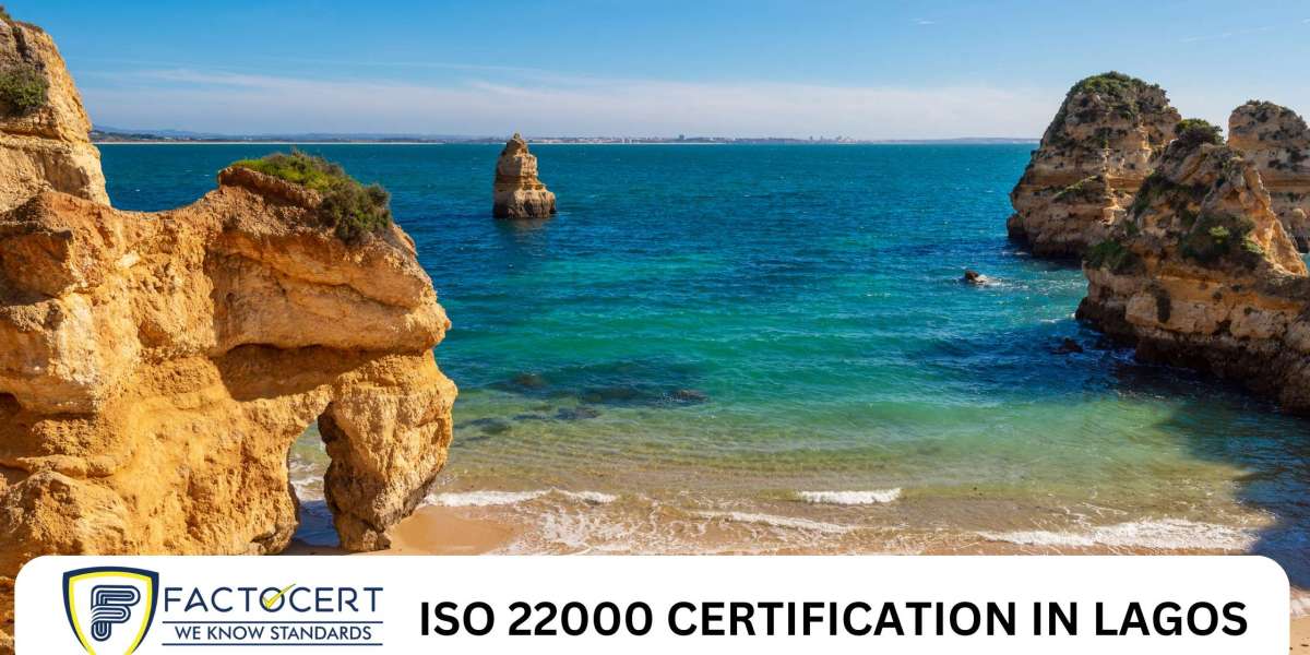 What are the ISO 22000 certification requirements in Lagos? Food Safety Management System?