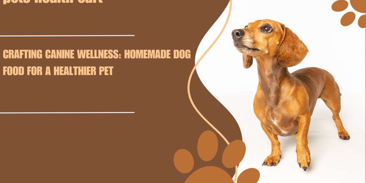 Crafting Canine Wellness: Homemade Dog Food for a Healthier Pet