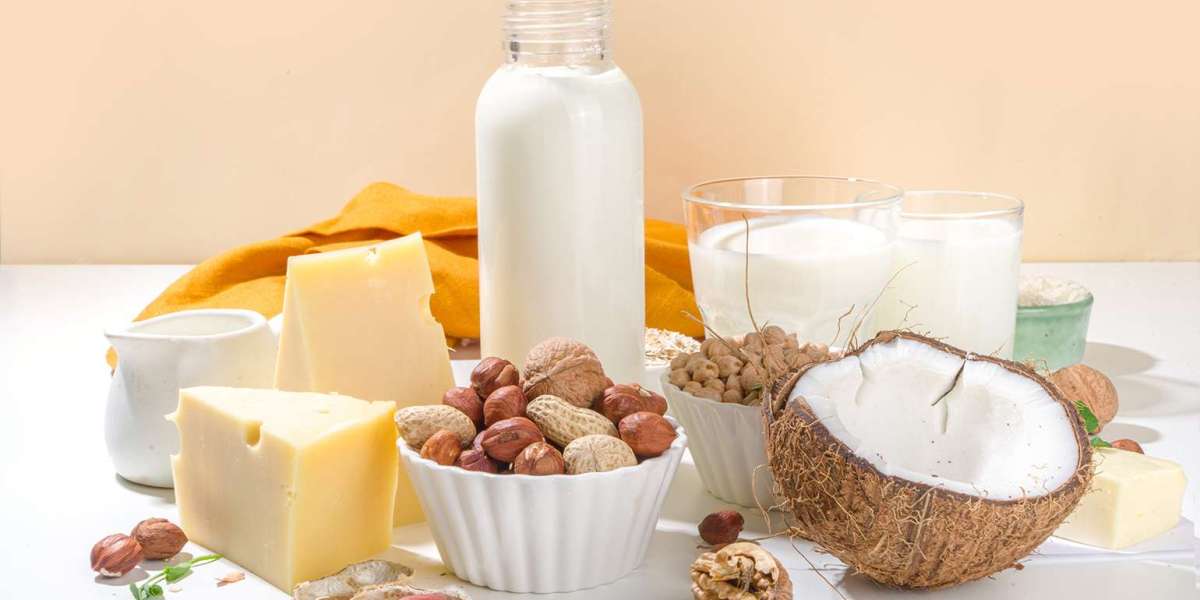 United States Dairy Alternatives Market 2023-2028, Industry Outlook, Future Demand, and Forecast
