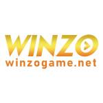 Winzo Game Profile Picture