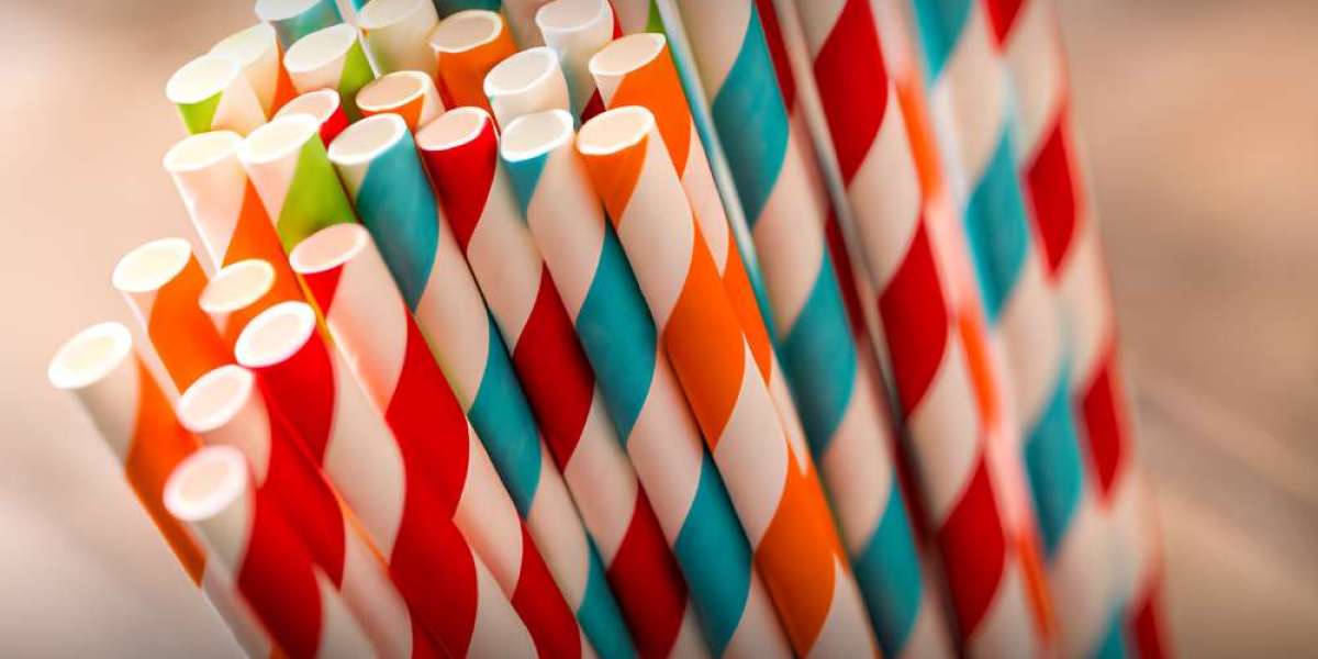 Paper Straw Market: Navigating Trends and Growth Forecast - Research Report