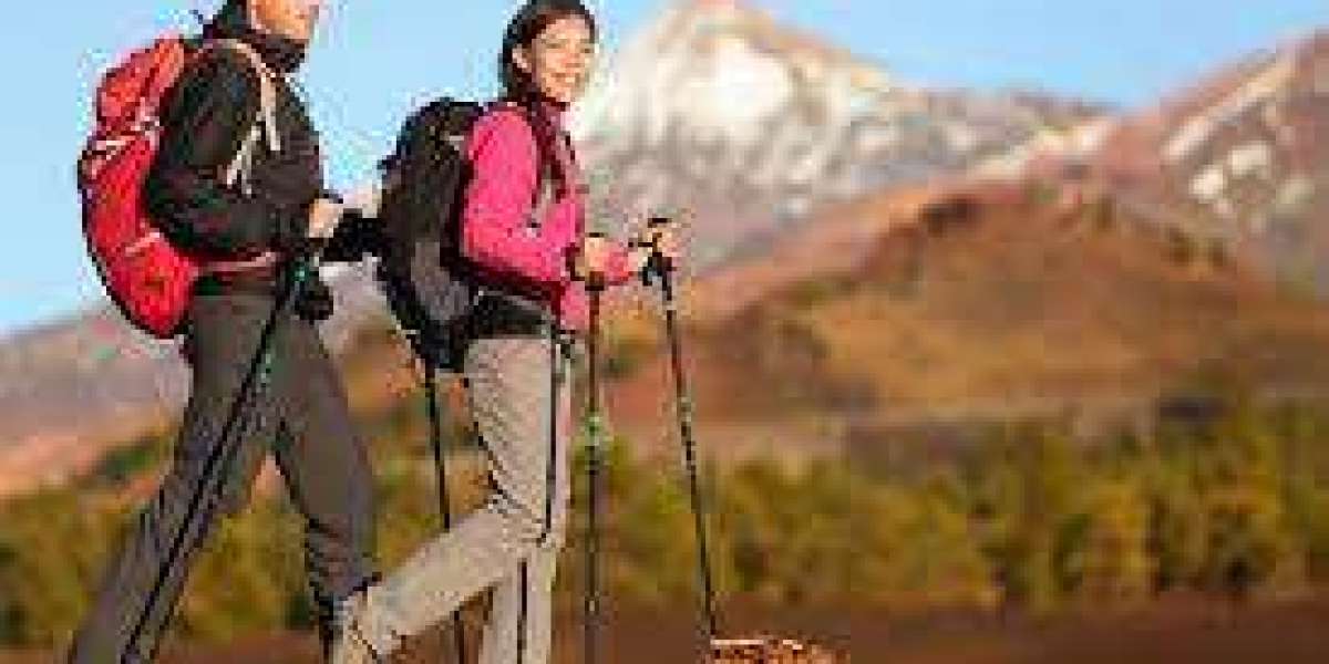 Hiking Apparel Market is set for a Potential Growth Worldwide: Excellent Technology Trends with Business Analysis