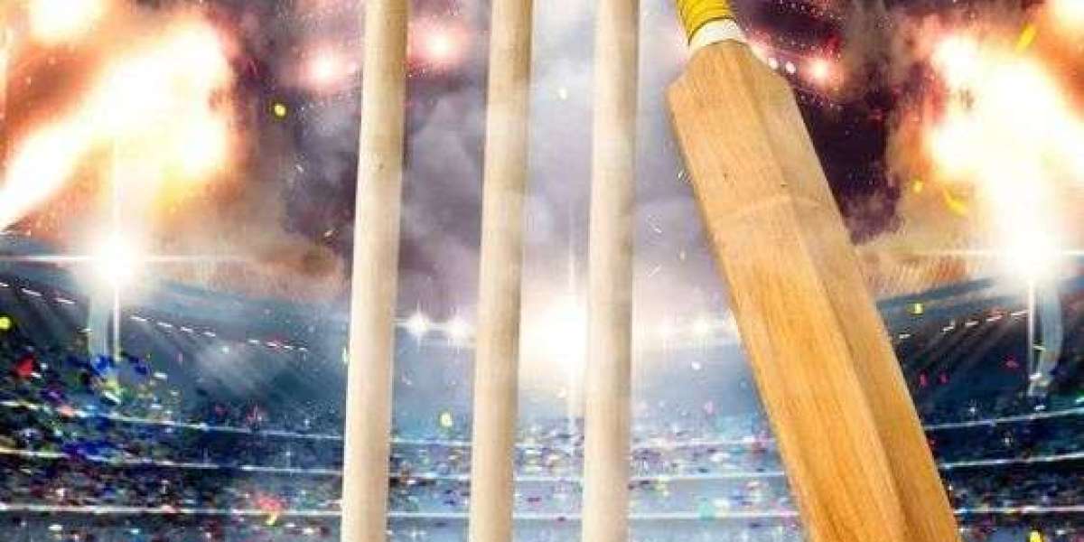 Sky Exchange & Reddy Book Club: The Best Way to Win the India-2023 Cricket Match