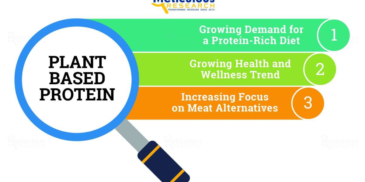 “Plant Based Protein”: Best Protein Sources for Vegans and Vegetarians