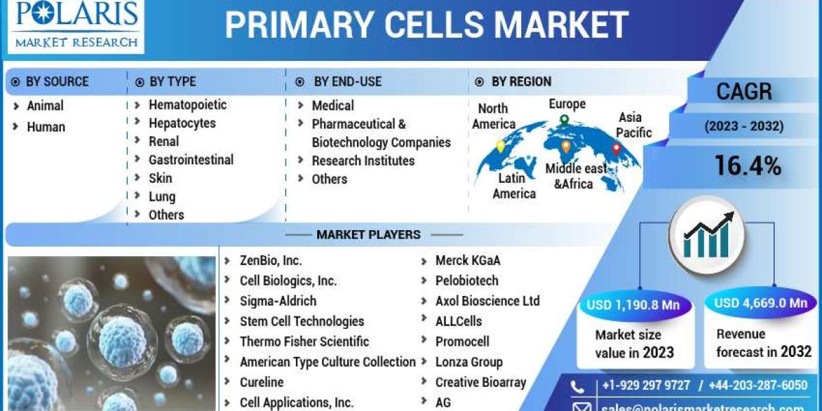 Primary Cells Market Challenges, Development, Opportunities, Future Growth and Trends by Forecast to 2032