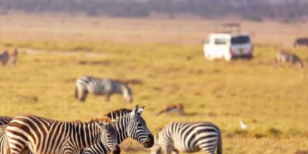 Kenya Untamed Life Safari and Natural Life Parks in Tanzania