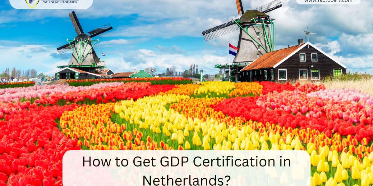 How to Get GDP Certification in Netherlands?