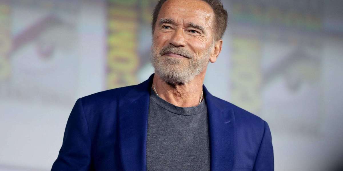 Arnold Schwarzenegger's Remarkable Career Path: From Bodybuilding to Hollywood and Beyond