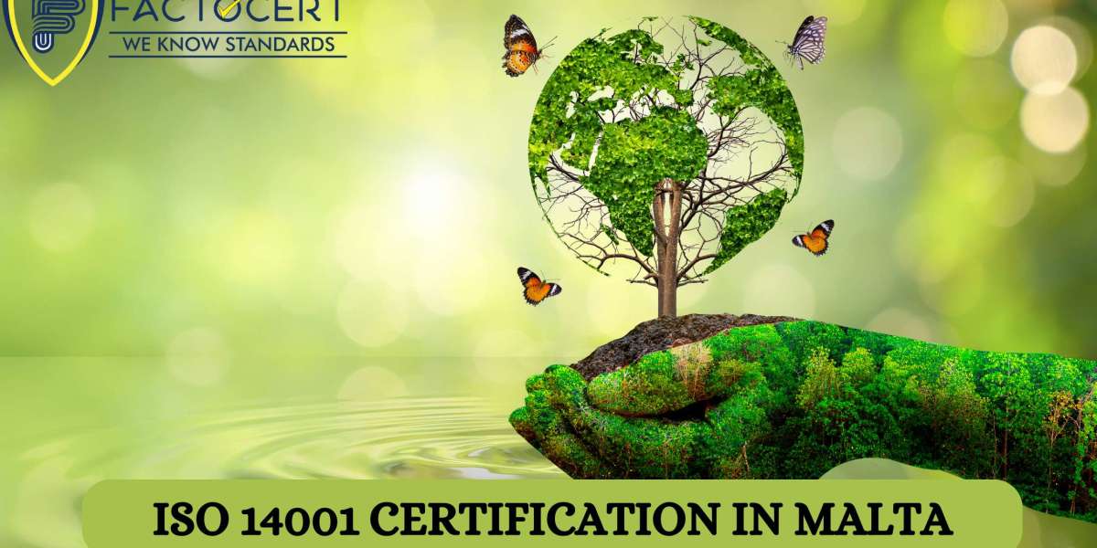 Getting ISO 14001 certified is a simple process. What are the steps?
