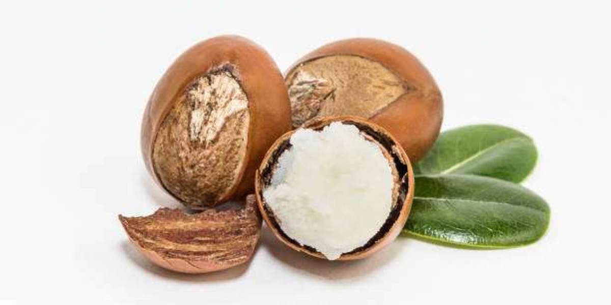 Shea Butter Market Trends, Statistics, Key Players, Revenue, and Forecast 2030